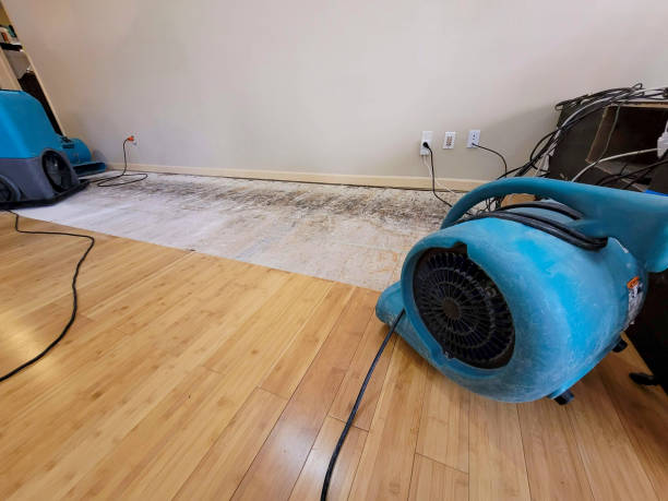 Professional Water Removal technician working in Powell Butte, OR